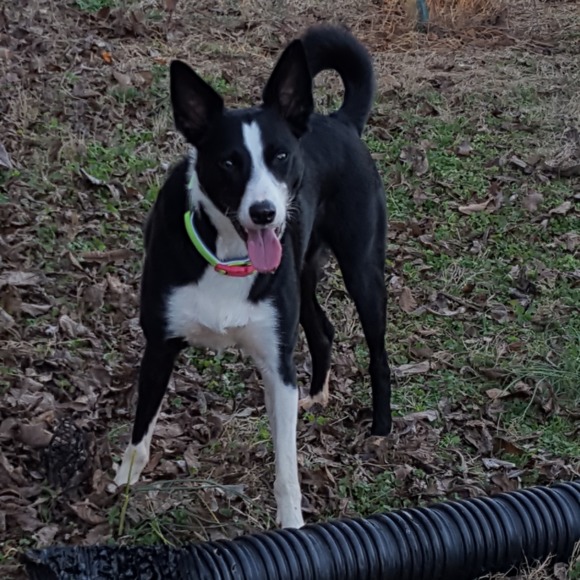 Meet your Posher, Veronica - Picture 1 of 1